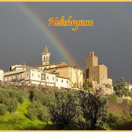 Bed and Breakfast Helichrysum Vinci Exterior foto