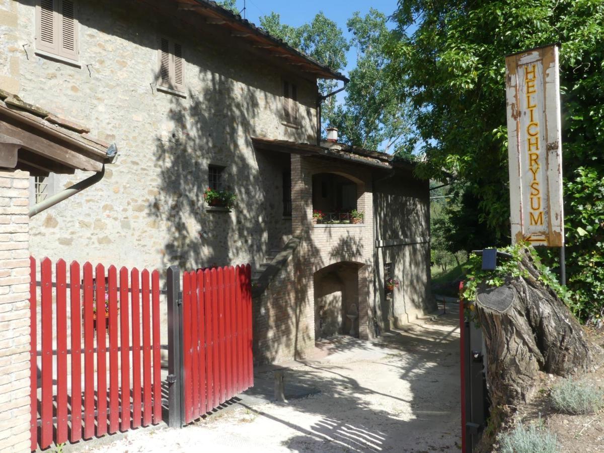 Bed and Breakfast Helichrysum Vinci Exterior foto