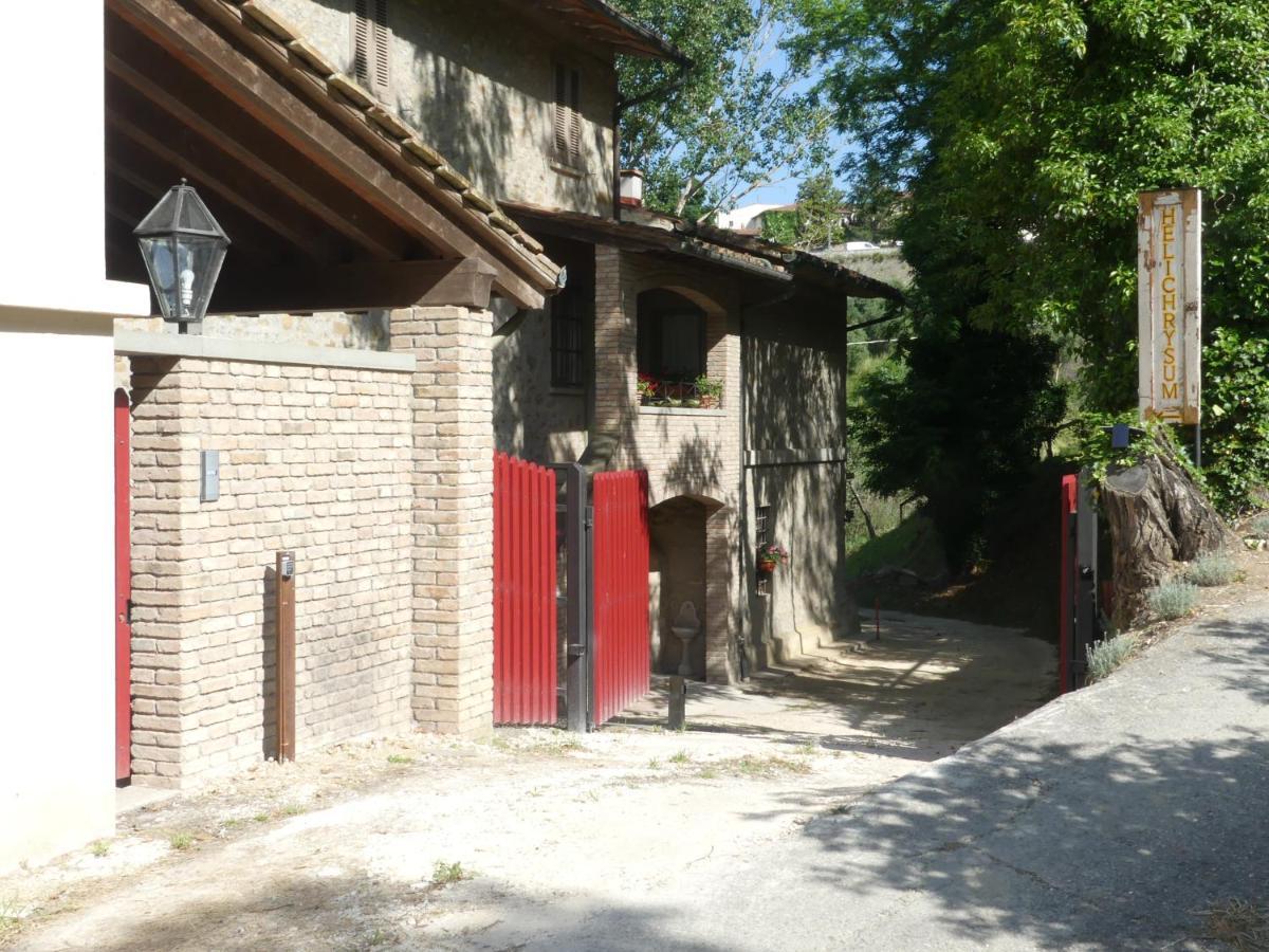 Bed and Breakfast Helichrysum Vinci Exterior foto