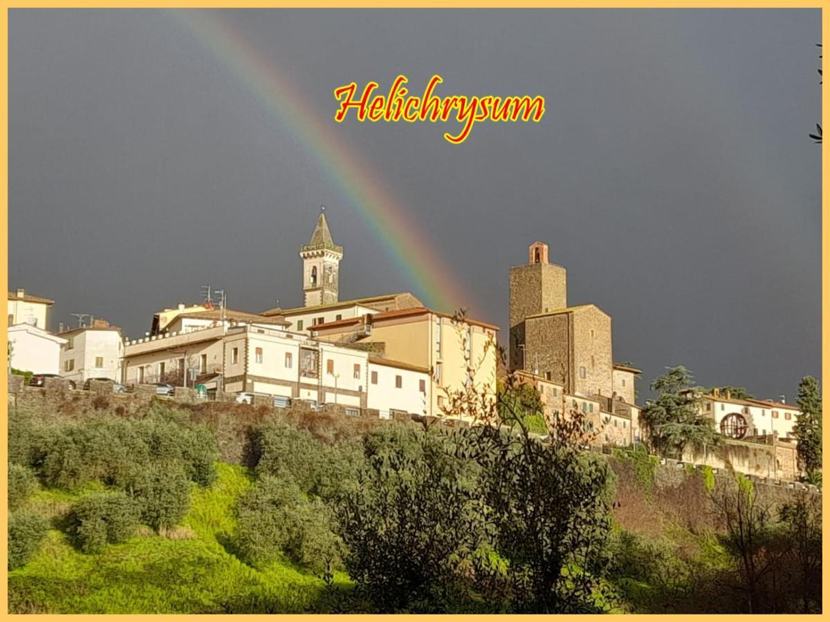 Bed and Breakfast Helichrysum Vinci Exterior foto