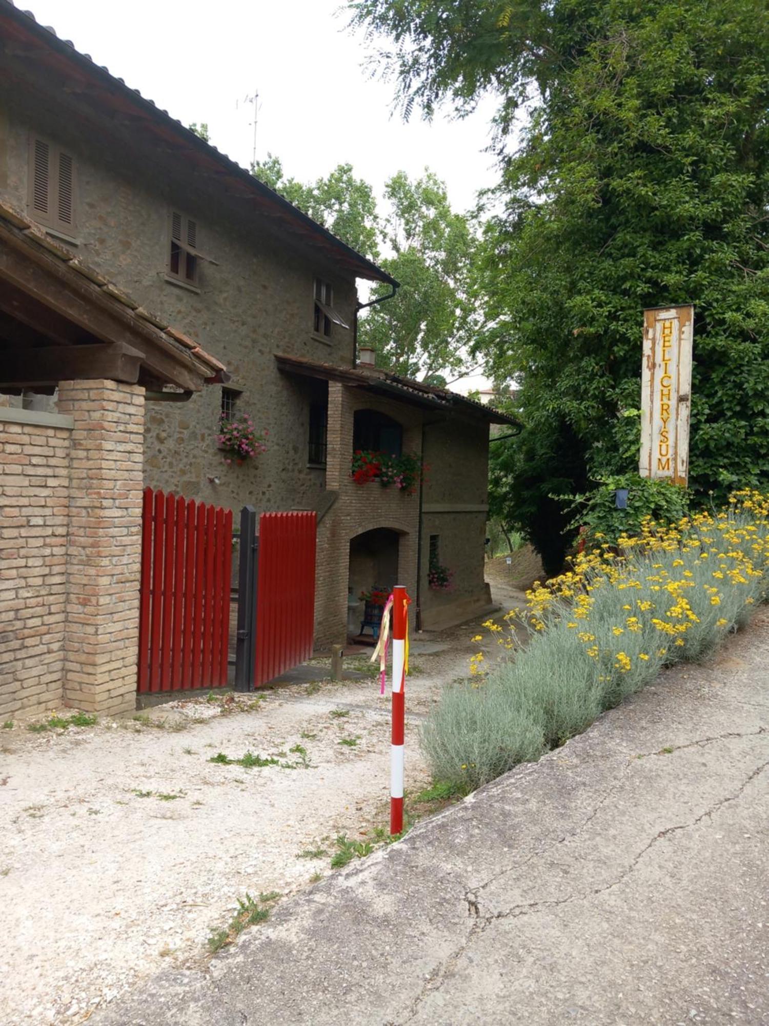 Bed and Breakfast Helichrysum Vinci Exterior foto