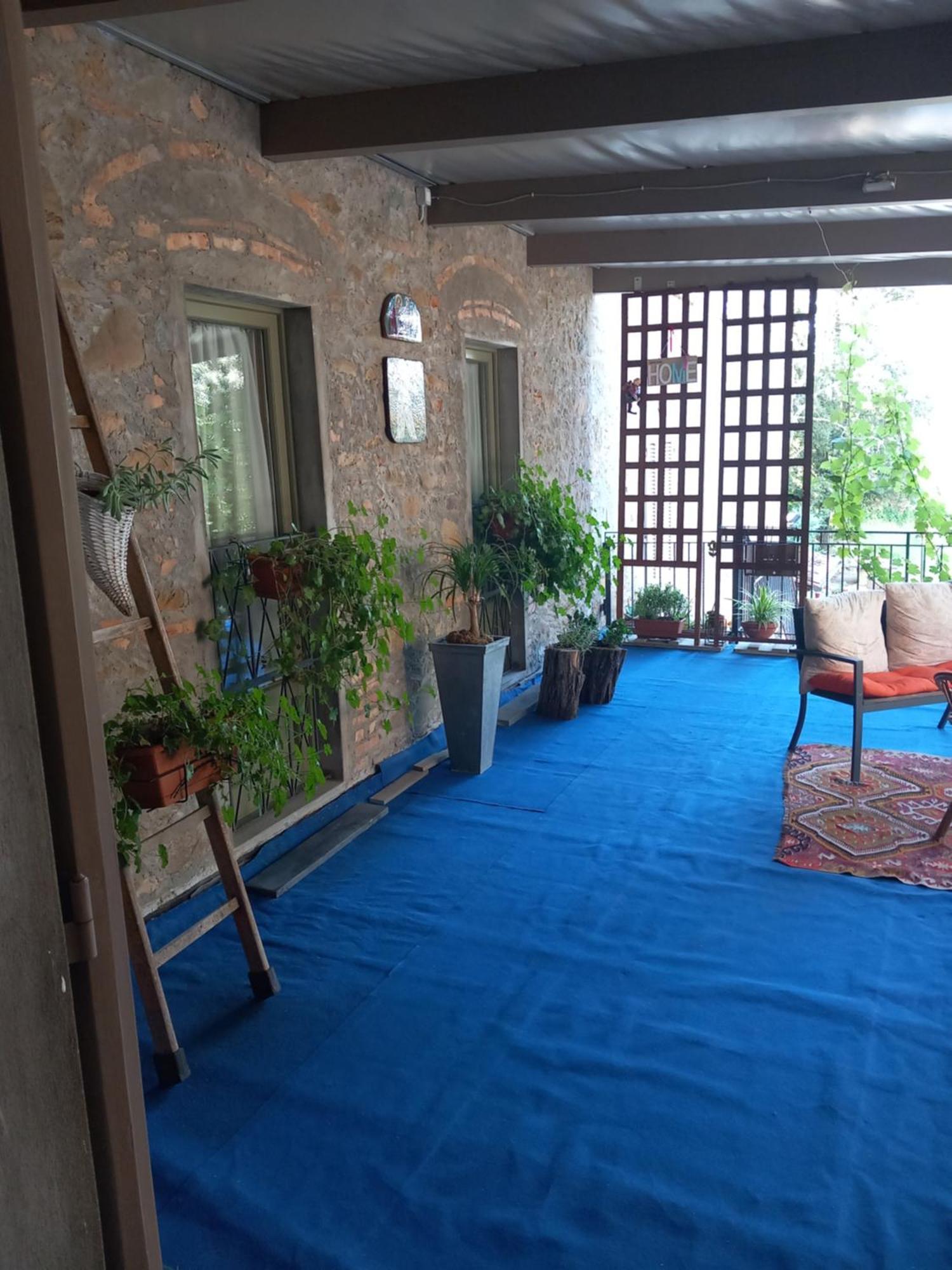 Bed and Breakfast Helichrysum Vinci Exterior foto