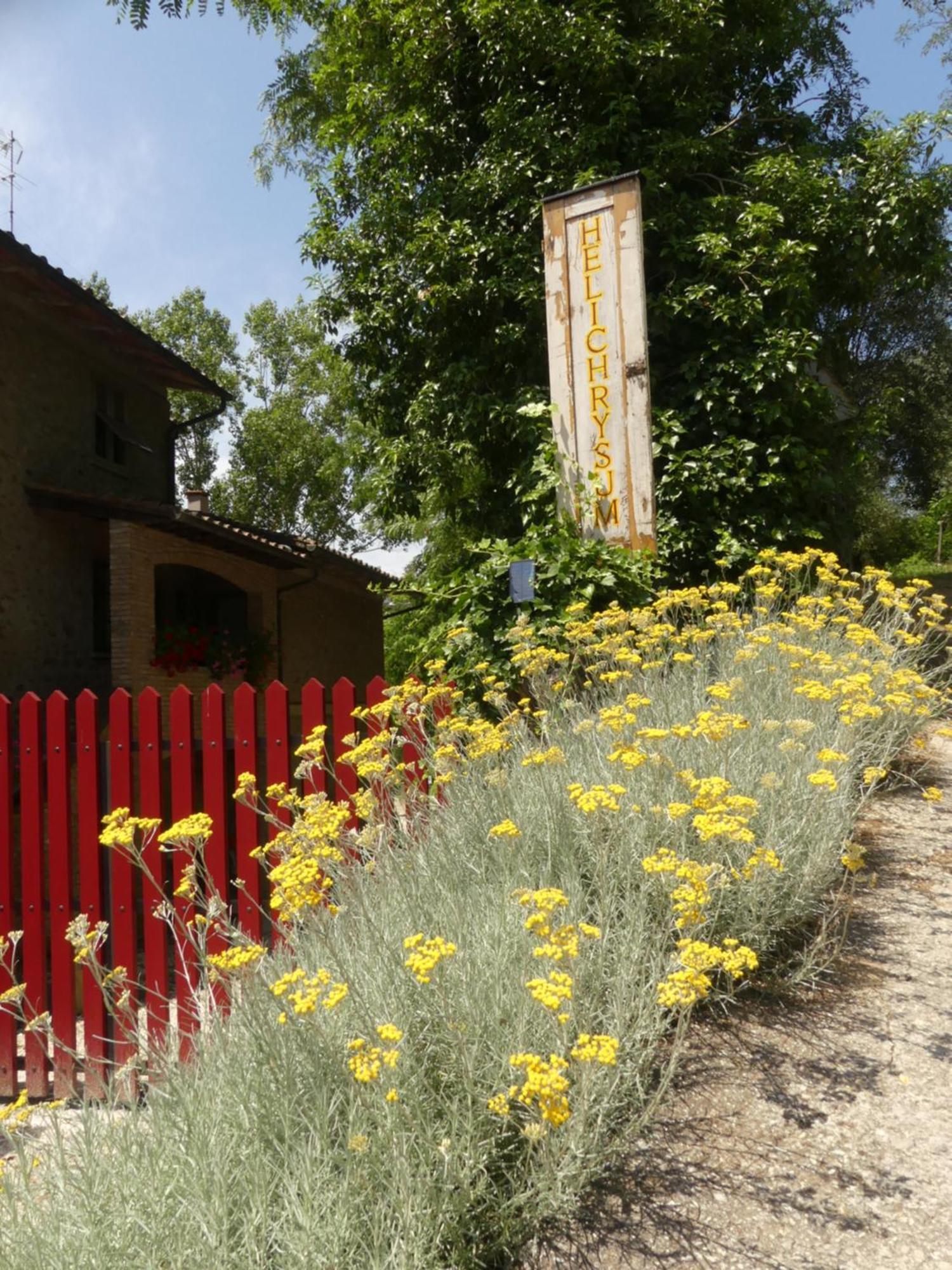 Bed and Breakfast Helichrysum Vinci Exterior foto